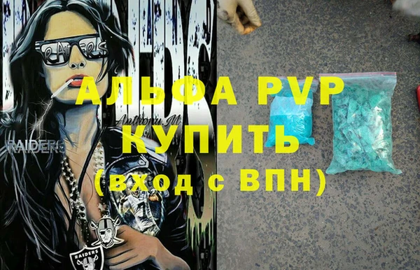 индика Алексин
