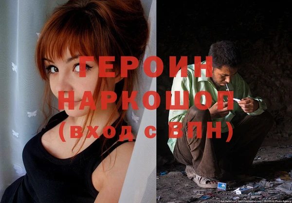 индика Алексин