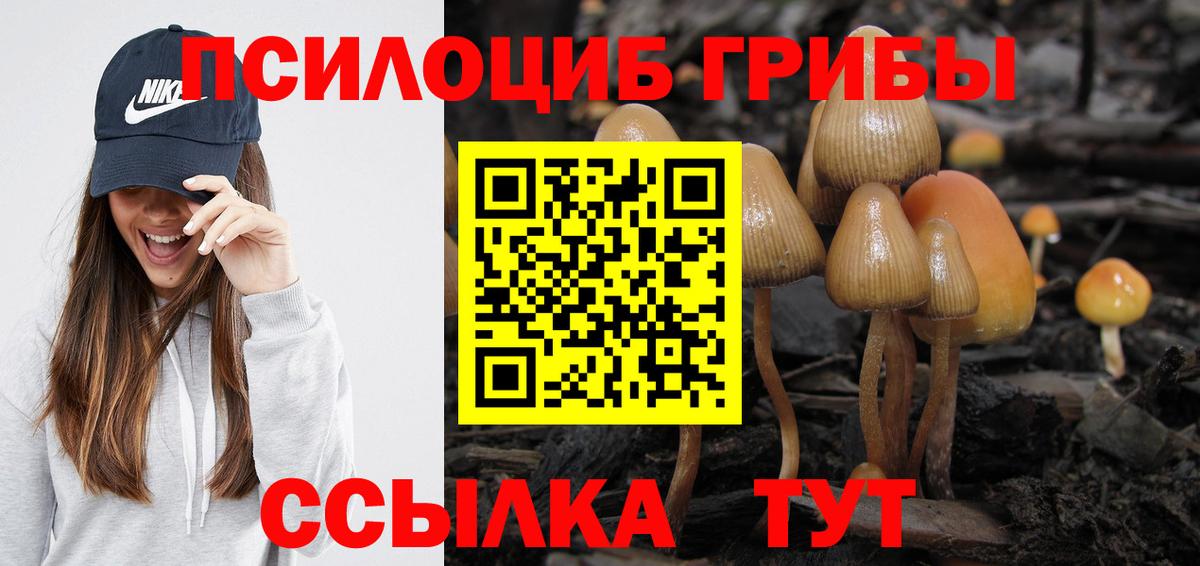 магазин    Псилоцибиновые грибы Magic Shrooms  Вход с VPN  Добрянка 